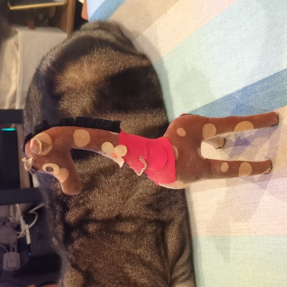 Vintage dream pets - Picture 2 of 5